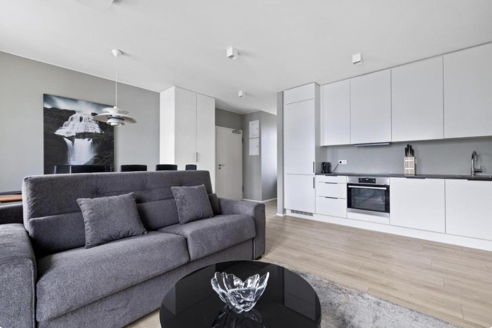 Cheerful Down Town Apartment Reykjavík Buitenkant foto